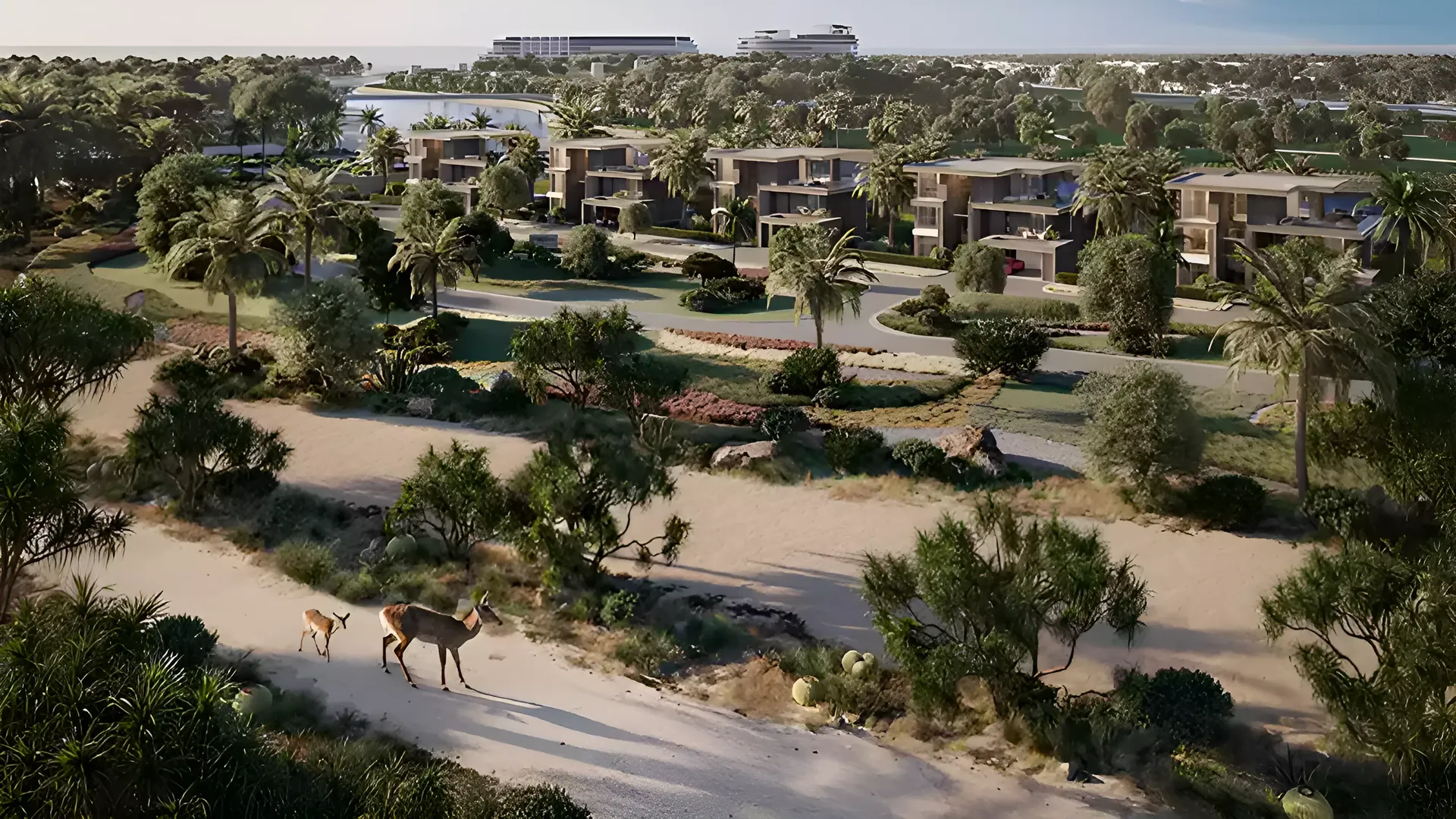 The natural reserve beside the community, with a gazelle on the dunes